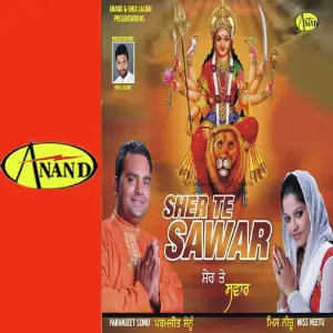 Sher Te Sawar image