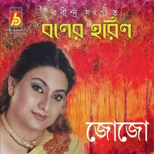 Baner Harin image