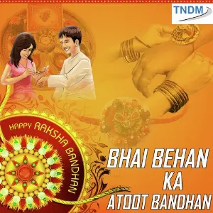 Bhai Behan Ka Atoot Bandhan image