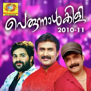 Perunnalkili 2010-11 image