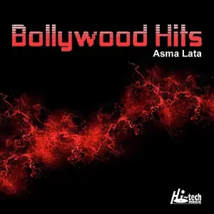 Bollywood Hits image