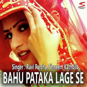 Bahu Pataka Lage Se image