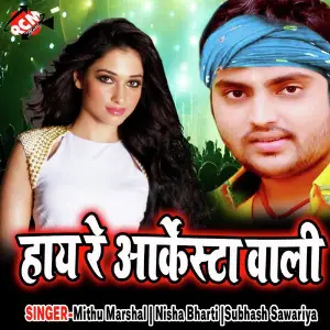 Hai Re Arkestra Wali image