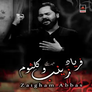 Faryaad e Zainab o Kulsoom s.a image