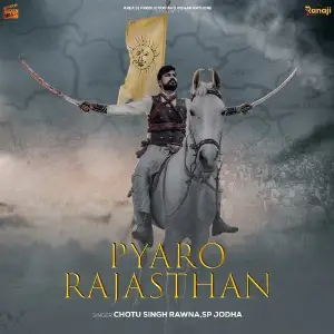 Pyaro Rajasthan image