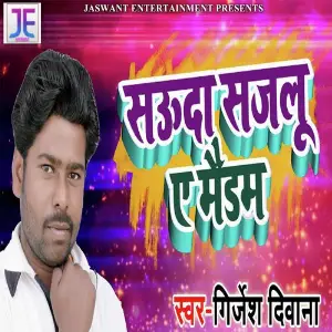 Sauda Sajlu Ae Medam image