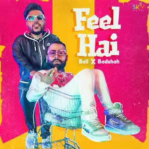 Feel Hai image