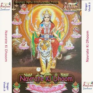 Navrate Ki Dhoom image