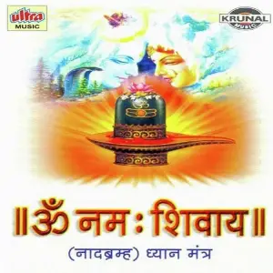 Om Namah Shivay-Nadabram image