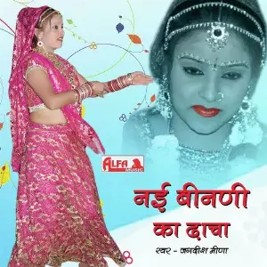 Nayi Binani Ka Dhancha image