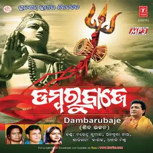 Dambaru Baje image