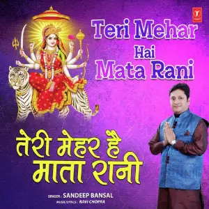 Teri Mehar Hai Mata Rani image