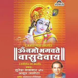Om Namo Bhagvate Vasudevay image