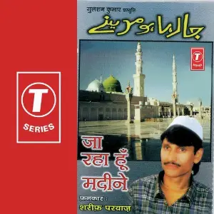 Ja Raha Hoon Madeene image