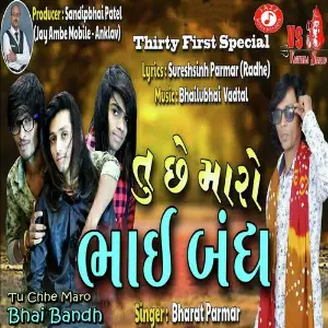 Tu Chhe Maro Bhai Bandh image
