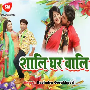 Sali Ghar Wali image