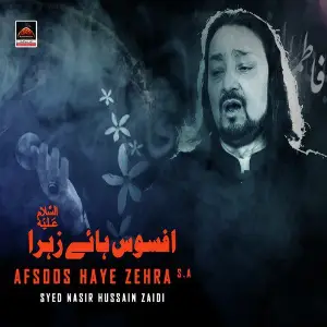Afsoos Haye Zehra s.a image