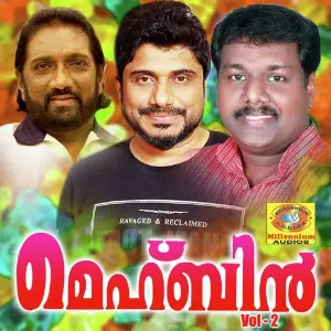 Mehbin, Vol. 2 image