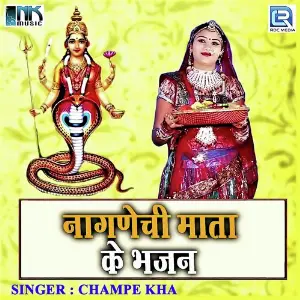 Nagnechi Mata Ke Bhajan image