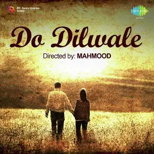 Do Dilwale image