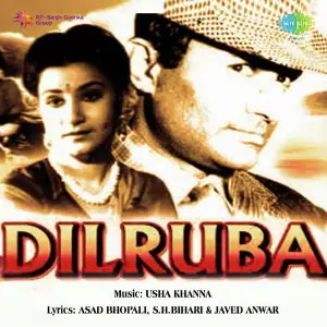 Dilruba image