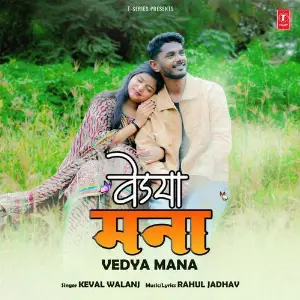 Vedya Mana image