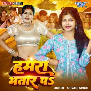 Hamra Bhatar Pa image