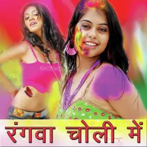 Rangwa Choli Mein image