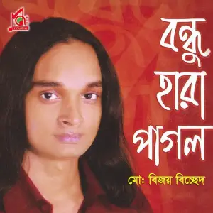 Bondhu Hara Pagol image