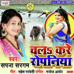 Chala Kare Ropaniya image