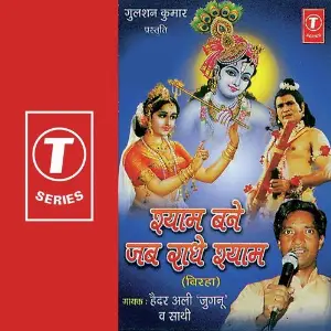 Shyam Bane Radheshayam image