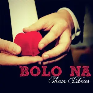 Bolo Na image