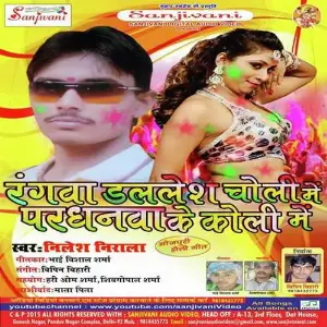Rangwa Dalles Choli Me Pardhanwa Ke Koli Me image
