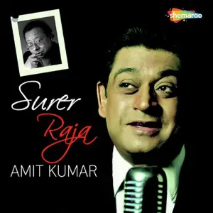 Surer Raja image