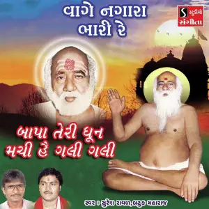 Vage Nagara Bhari Re image