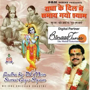 Radha Ke Dil Mein Samaaay Gayo Shyam image