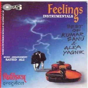 Feelings Instrumentals Best Of Kumar Sanu, Alka Yagnik image