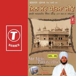 Mil Mere Preetma Jeeo (Vol. 29) image