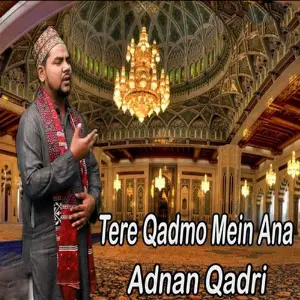 Tere Qadmo Mein Ana image
