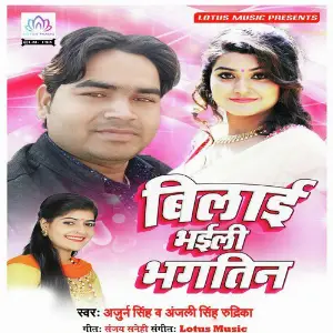 Bilai Bhaili Bhaktin image