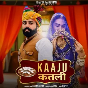 Kaaju Katli image