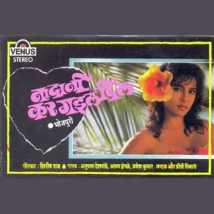 Nadani Kar Gail Dil image