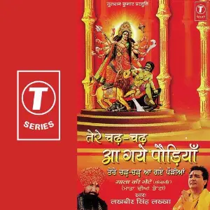Tere Chade Chade Aa Gaye Paudi image