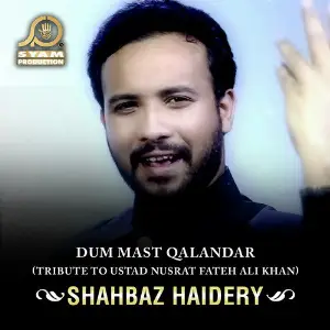 Dum Mast Qalandar - Single image