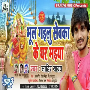 Bhul Sewaka Ke Ghare Maiya image