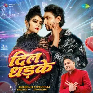 Dil Dhadke image