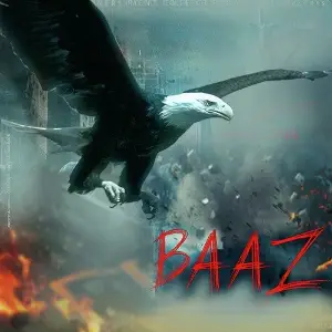 Baaz image