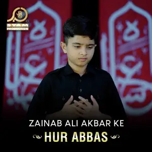 Zainab Ali Akbar Ke - Single image