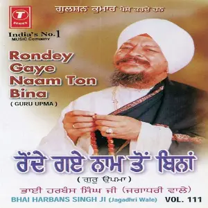 Rondey Gaye Naam Ton Bina (Vol. 111) image