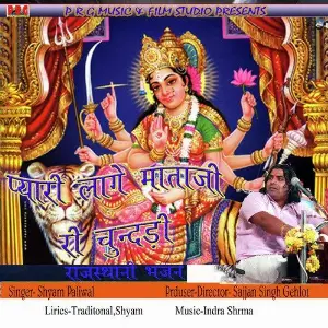 Pyari Lage Mataji Ri Chundadi image